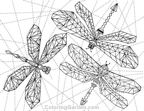 Drawing dragonfly in the sunflowers. Geometric Dragonfly Adult Coloring Page