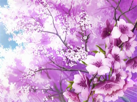 Sakura Blossoms Wallpaper By Dragonladyslair On Deviantart