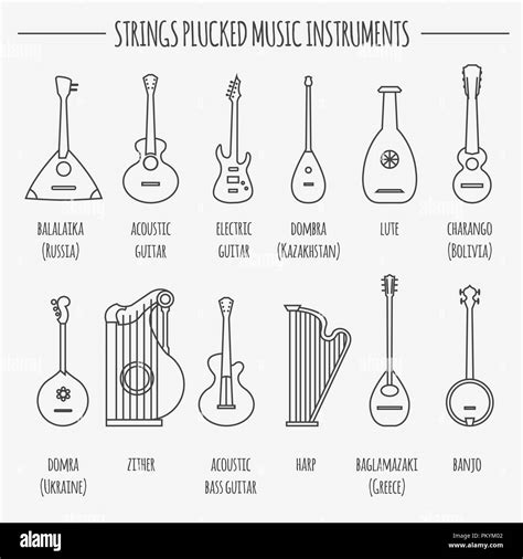 Musical Instruments Graphic Template Strings Plucked Vector Illustration Stock Vector Image