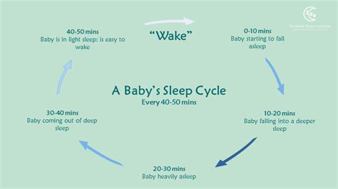 Newborn Baby Sleep And Baby Sleep Cycles How It Works
