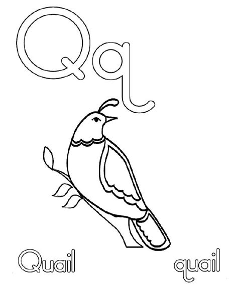 Free printable quail coloring pages. Q For Quail Coloring Pages | Preschool coloring pages ...