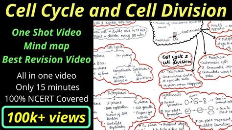 Download Mind Map Cell Cycle And Cell Division Class 11 Chapter 10