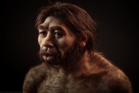 Paleoanthropology On Twitter Homo Erectus Reconstructed Skull Of