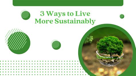 3 Ways To Live More Sustainably Pefcu Blog