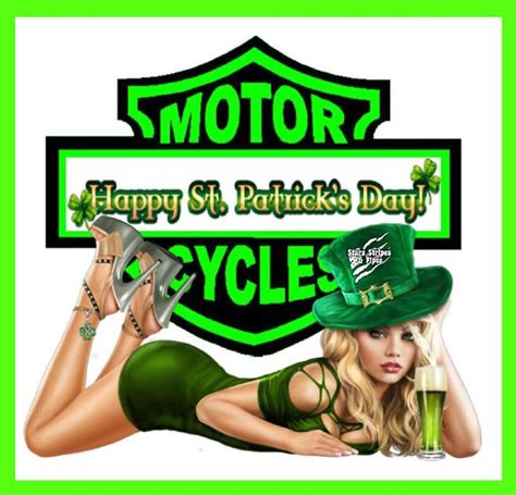 Pin By Lorri Talys On Hd St Patrick S Day Biker Quotes Harley