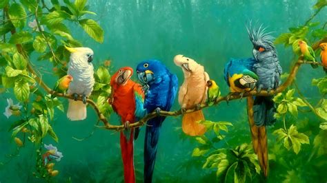 Download Wallpaper 1920x1080 Parrot Birds Art Colorful Full Hd