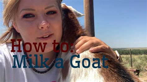 How To Milk Goats A Completeish Guide Youtube