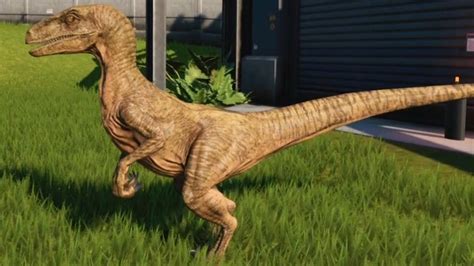 Jurassic World Evolution Velociraptor Arid Skin Gameplay Ps4 Hd 1080p60fps Youtube
