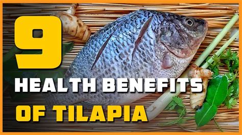 9 Health Benefits Of Tilapia Youtube
