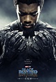 Black Panther Character Posters Reveal the Cast, Costumes | Collider