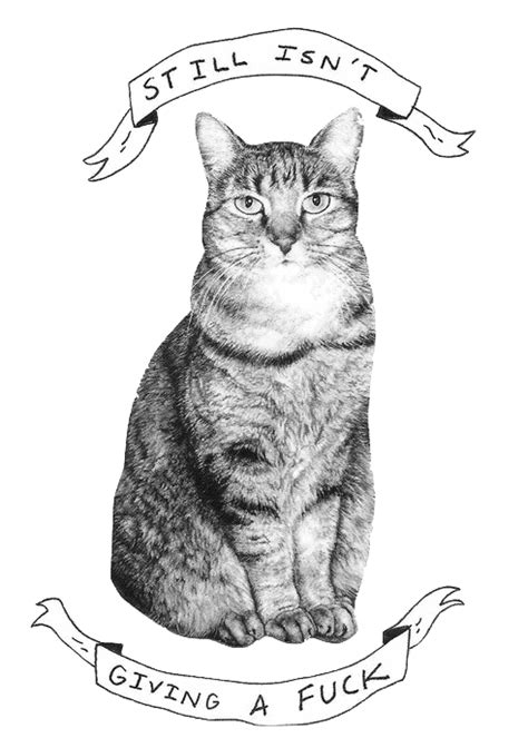Crazy Cat Lady Crazy Cats Illustrations Purring Cool Cats Amusing