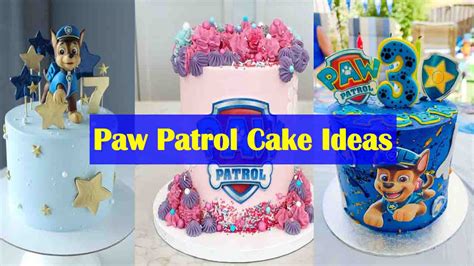 Incredible Collection Of Top 999 Full 4k Paw Patrol Cake Images