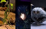 Así son las 9 criaturas más geniales de Animales fantásticos y dónde ...