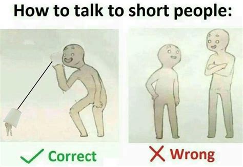 It is quite normal for some societies where tall people most of the time have a certain advantage as compared to short people. 16 Tips For Talking To Short People That You Didn't Know You Needed | Memes, Short people memes ...