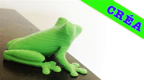 Grenouille 3d Frog Print Dinosaur Stuffed Animal Prints 3d Printing