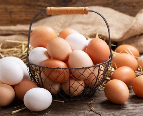 7 Jenis Telur Ayam Manakah Yang Paling Sehat Dikonsumsi