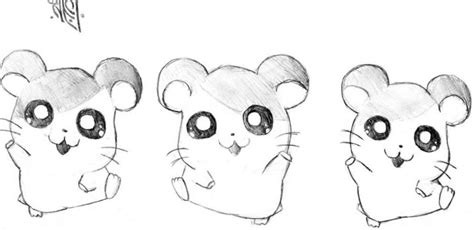 20 Cute And Easy Cartoon Hamster Drawing Ideas Chibi And Kawaii