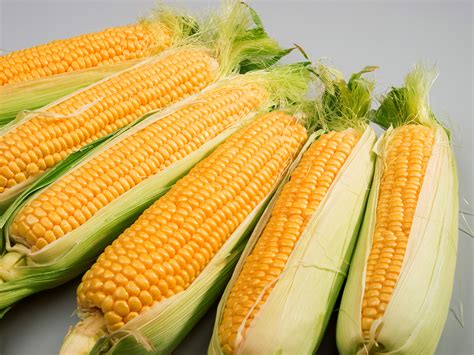 Sweet Corn Season Begins In May In Az Fill Your Plate Blog
