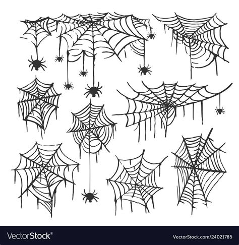 Collection Of Cobweb Isolated Transparent Background Spiderweb For