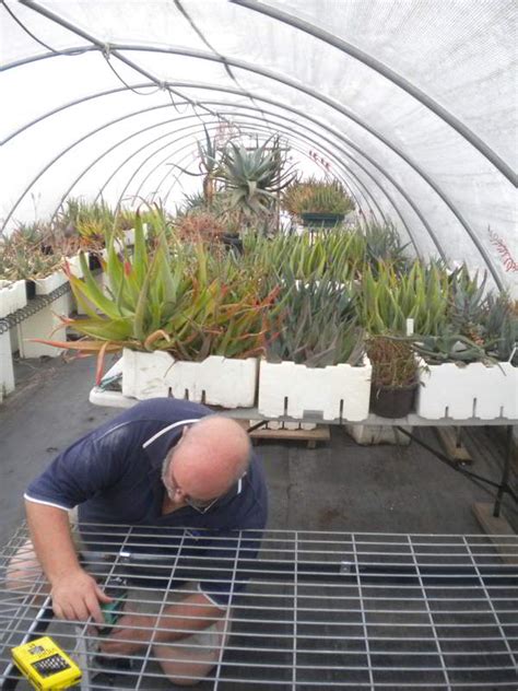 The tabletop greenhouse is just what the doctor ordered! Getting Ready for Winter in the Greenhouse | sixgorillas.com