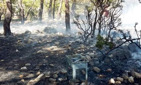 Türkiye de geniş yeşil alanlara sahip bir ülke olduğu için doğal afetlerden olan orman yangınları yaşanmaktadır. İçişleri Bakanlığı'ndan orman yangınları için genelge ...