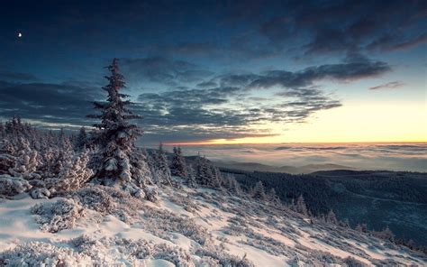 Nature Landscape Winter Snow Forest Hill Moon Sunset Clouds Trees Mist