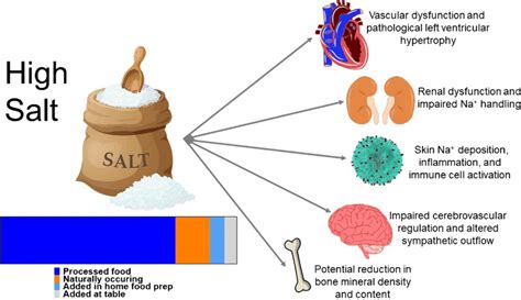 There Is Agreement High Salt Diets Contribute To High Blood Pressure