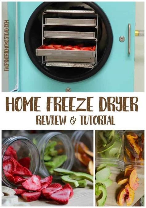 Harvest Right Home Freeze Dryer Review The Prairie Homestead