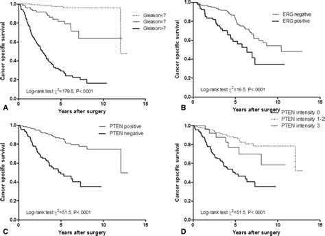 A Km Survival Curves For Cancer Specific Mortality Stratified By Key