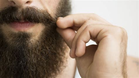 Se Laisser Pousser La Barbe Tout Ce Quil Faut Savoir — Nuances