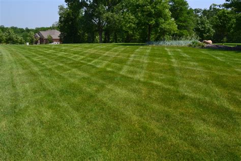 Lawn Mowing Photos Of Residential And Commercial Turf Grass Patterns