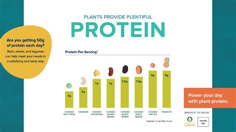 Plant Protein Power Infographics Practice Greenhealth Practice