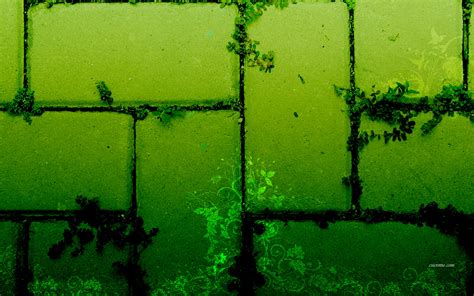 This green on green falls into the same category as the monochromatic color scheme above, but it is much easier to work with (especially in the natural tones). Green wall wallpapers and images - wallpapers, pictures ...