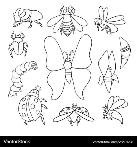 A Set Different Insects Outlines Royalty Free Vector Image