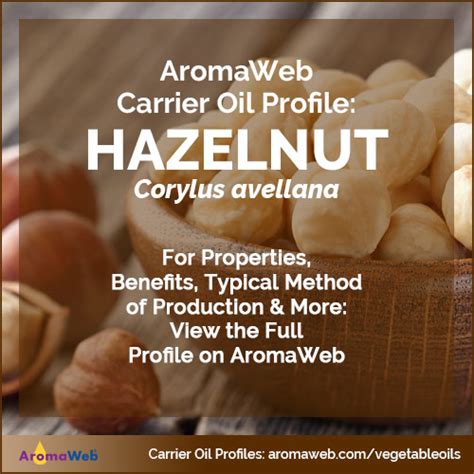 Hazelnut Carrier Oil AromaWeb