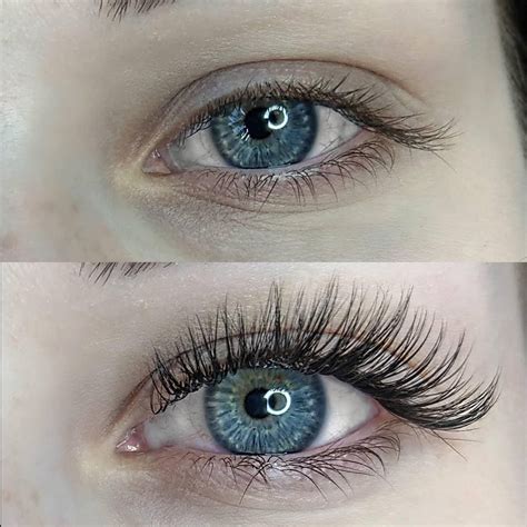Rizinusöl zählt zu den beliebtesten hausmitteln, wenn es um dichtere wimpern geht. Professionelle Wimpernverlängerungen - Barockade in Leipzig