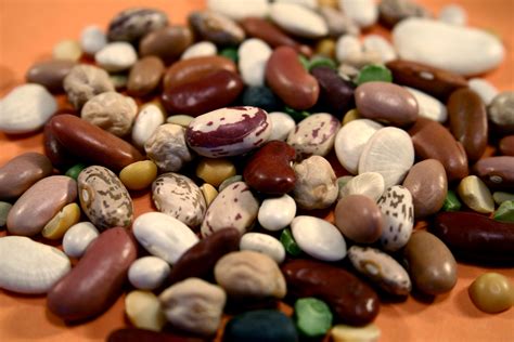 Free Picture Up Close Dried Beans Assembled Mixed Pile