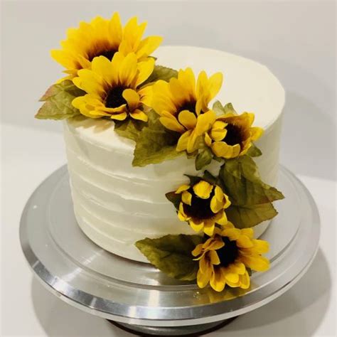 Sunflower Cake Intensive Cake Unit