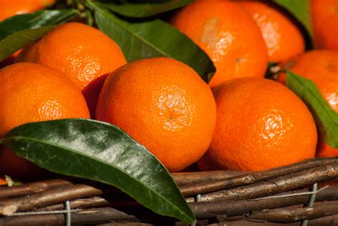 Free Images Fruit Produce Tangerine Calabaza Kumquat Clementine
