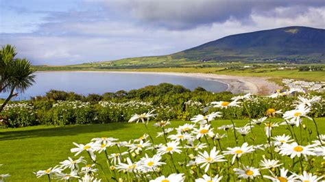 The bank's parent company, nat west, made the announcement on friday. Republic of Ireland