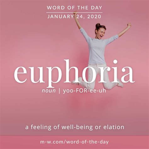Word Of The Day Euphoria In 2023 Good Vocabulary Words Word Of The