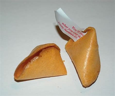 Chinese Fortune Cookies 24 Pieces Fortune Message Party Dinner Party Fortune Cookie