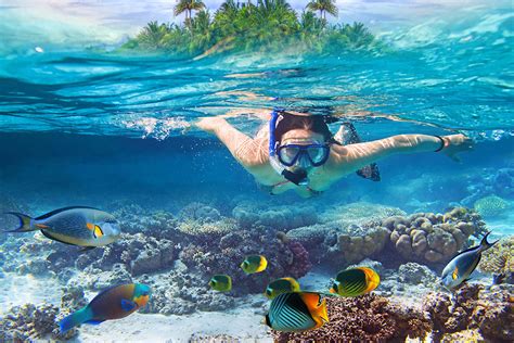 Best Places To Snorkel In The Caribbean Catalonia Hotels And Resorts Blog