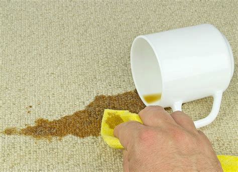 How To Remove Carpet Stains How To Clean A Carpet And Keep It Looking