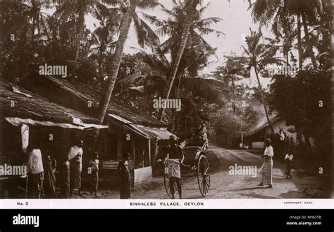 Sinhalese Village Ceylon Sri Lanka The Sinhalese Are An Indo Aryan