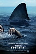 THE REEF Movie Trailer - A True Story about Being Hunted by a Great ...