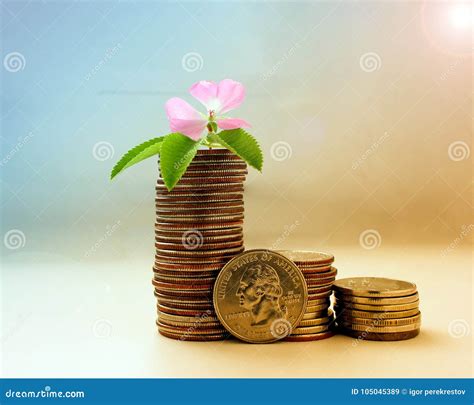 The Concept Of Money Growth The Success And Prosperity Stock Image