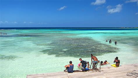 Snorkeling Mangel Halto Best In Aruba Not For Beginners