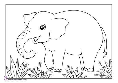 Gambar Mewarnai Hewan Semesta Ibu Free Download Menggambar Gajah