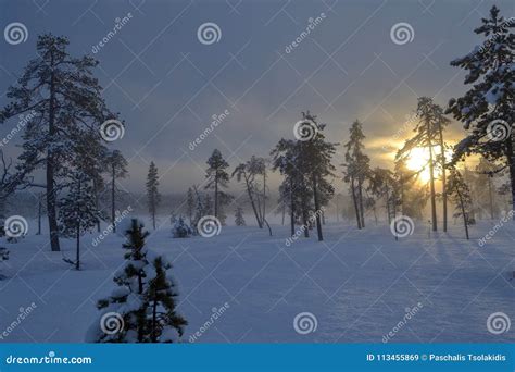 Sunrise In Finnish Lapland Stock Image Image Of Sunrise 113455869